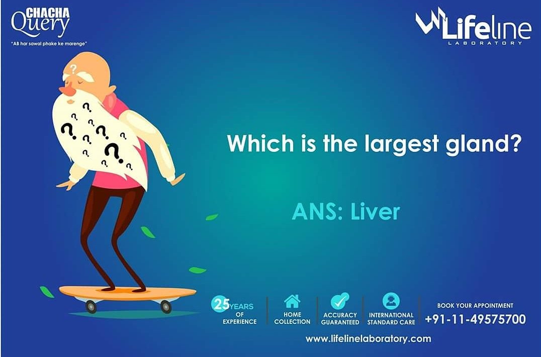 lifelinepathlab's tweet photo. Our Beado Chacha is here with today's answer.
#lifelinelaboratory #bestpathlab #queries #chacha #chachaquery #jawab #experience #Q&A #curious https://t.co/yA2u5VwY5Q