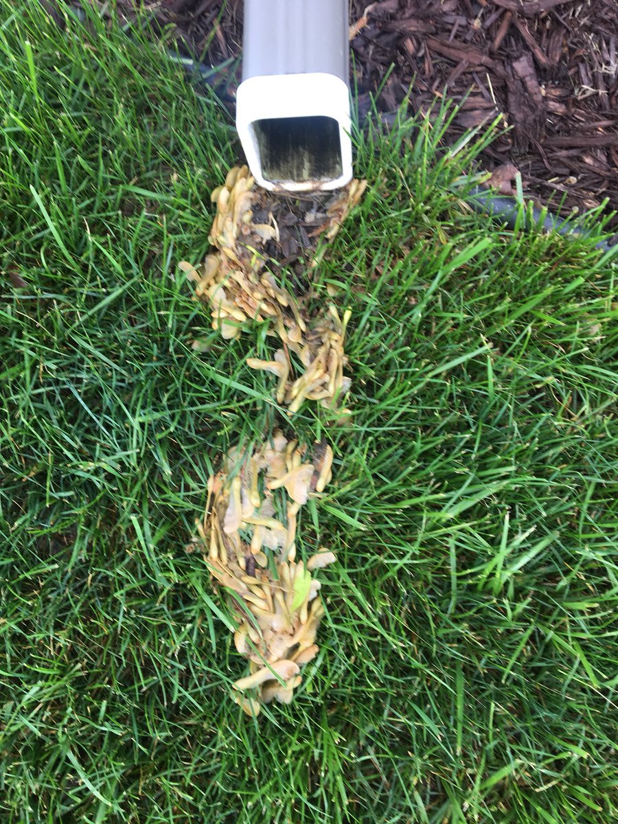 CradleStake's tweet photo. Another great feature of cradlestake’s.  They don’t prevent debris from getting trapped in your downspouts. #cradlestake #securedownspouts #peaceofmind https://t.co/n7EDyxYr59