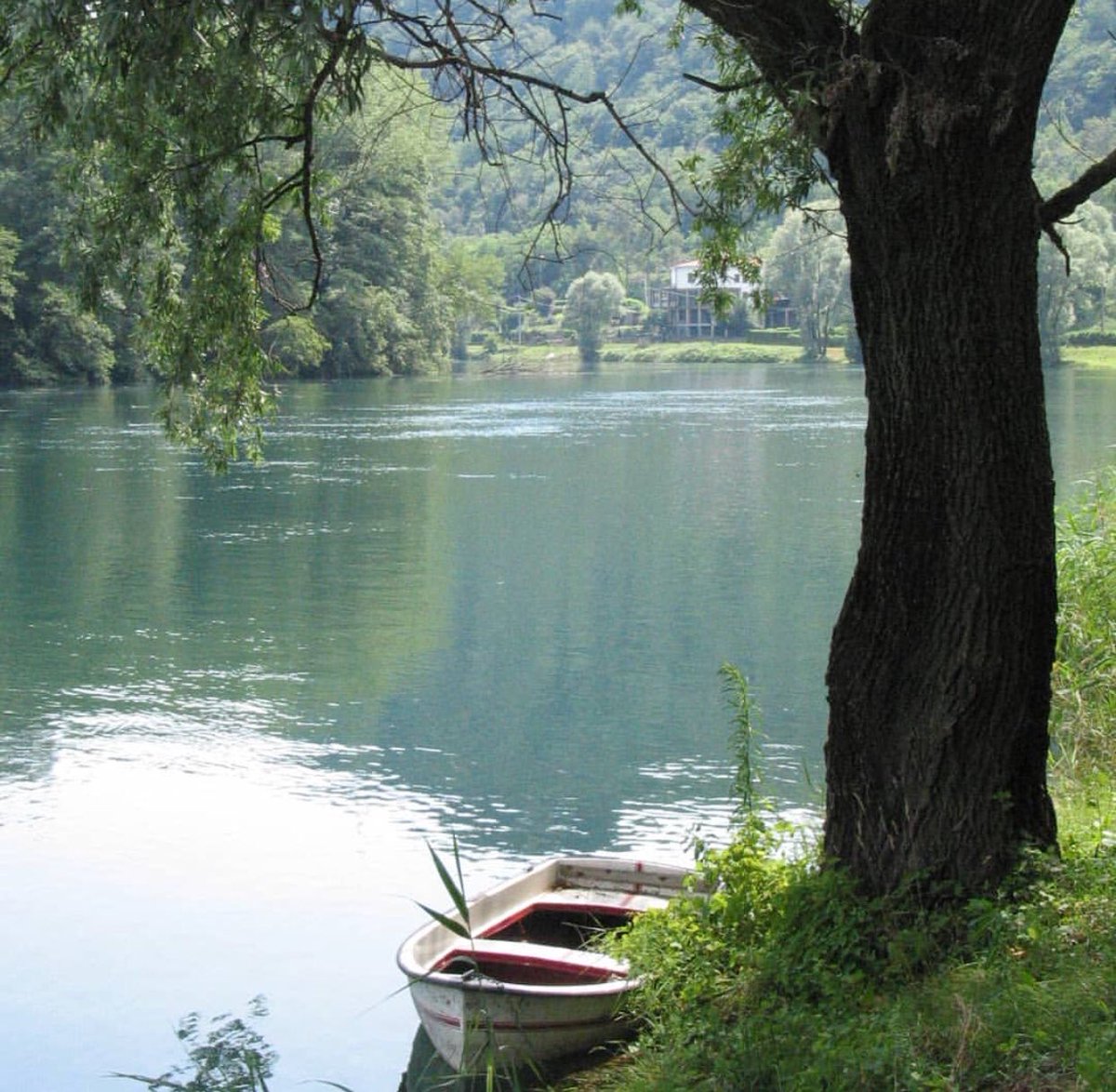 #Como #lake #boat #trees #ambrosoni #fotoclick #photographers #photography #photograph #Lombardia #igerscomo #igetslombardia #igers #outdoor #walking #naturelovers #NaturePhotography #NatureIsBeautiful