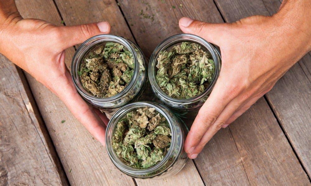 HIGH_TIMES_Mag's tweet photo. Medical Marijuana Dispensary Licenses Delayed in Ohio. https://t.co/bfIyos8Yz8 https://t.co/9WDsLtFXG6
