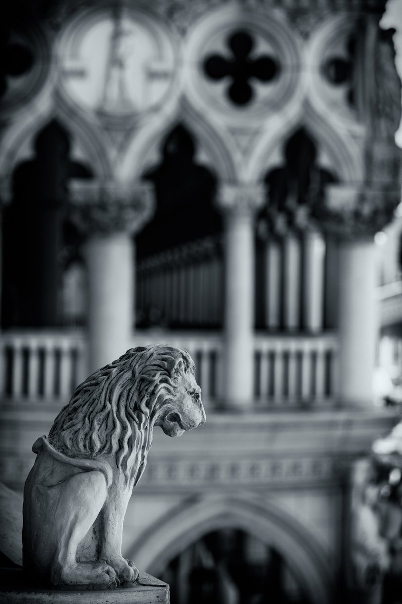 Shooting the #nikkor 70-200 on the #lasvegasstrip with my #nikond850 This is the Palazzo Hotel Resort