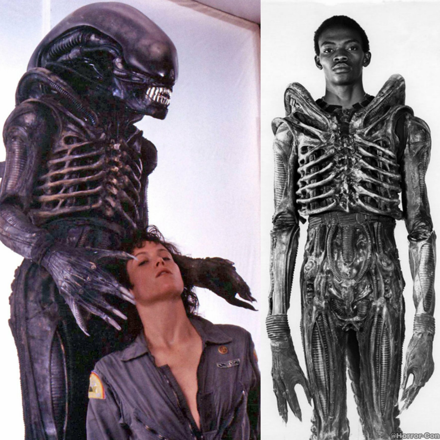 Bolaji Badejo Bolaji Badejo