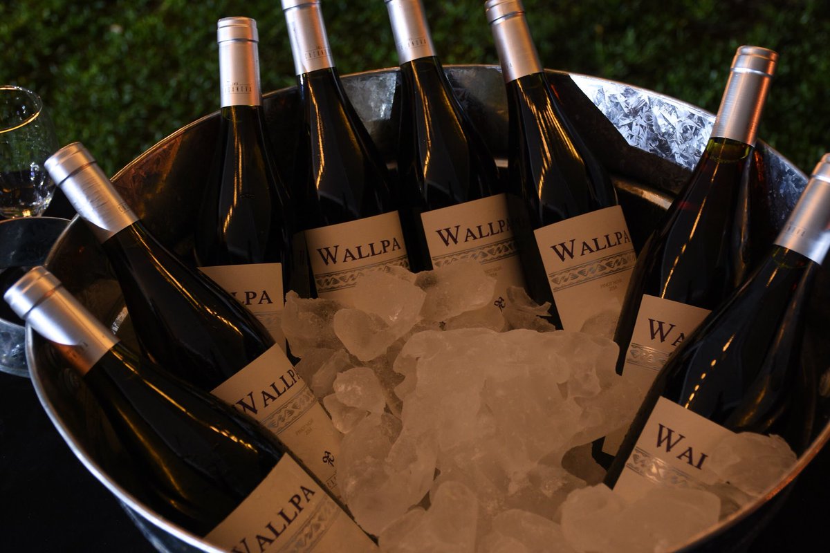 Degustación de <a href="/FincaCasanova/">Finca Casanova</a>, organizada por <a href="/varietalesprm/">varietalespremium</a> en <a href="/quintadontomas/">Quinta Don Tomás</a> #vino #VinoArgentino #wine #malbec #pinotnoir #varietalesprm #quintadontomas #BuenosAires #argentina