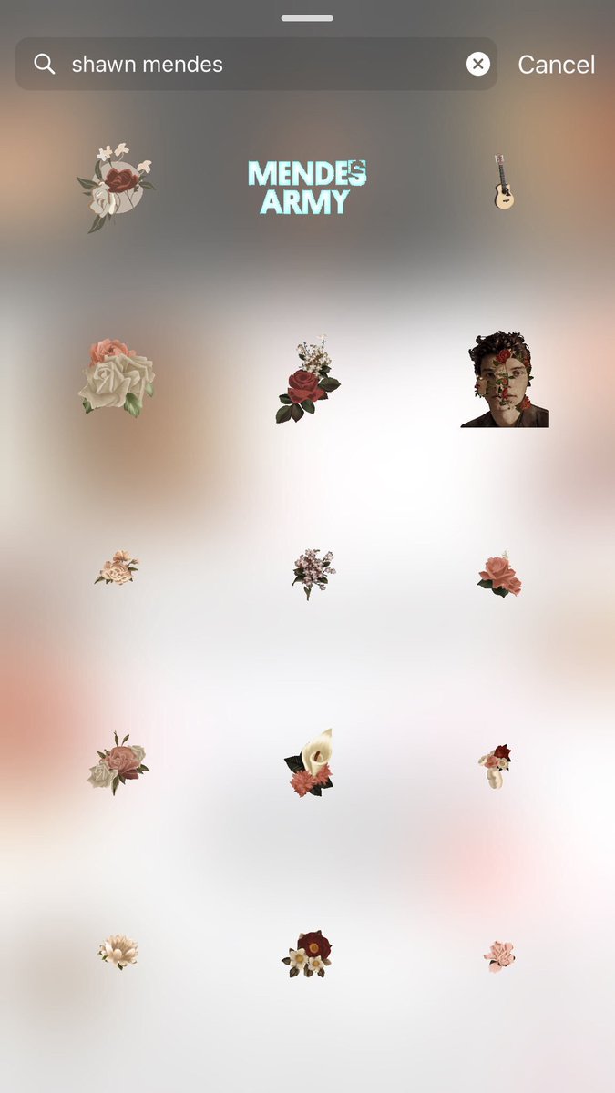 TeamShawnMende's tweet photo. EVERY SONG HAS A FLOWER GIF ON INSTAGRAM! GO SHARE WITH THESE ARE CUTE  #ShawnMendesTheAlbum https://t.co/GUG9EeGyOD