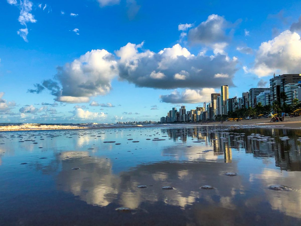 Happy day my friends.Sending peace from Recife-Brasil🙏