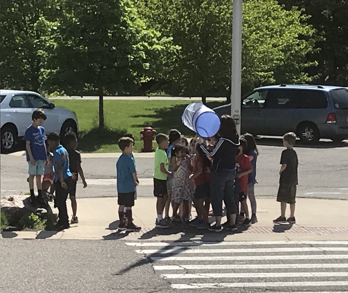 HWE_Hawks's tweet photo. Releasing our butterflies in first grade! #InsectUnit #Science #wleced 🦋 https://t.co/UmM3DyJq0t