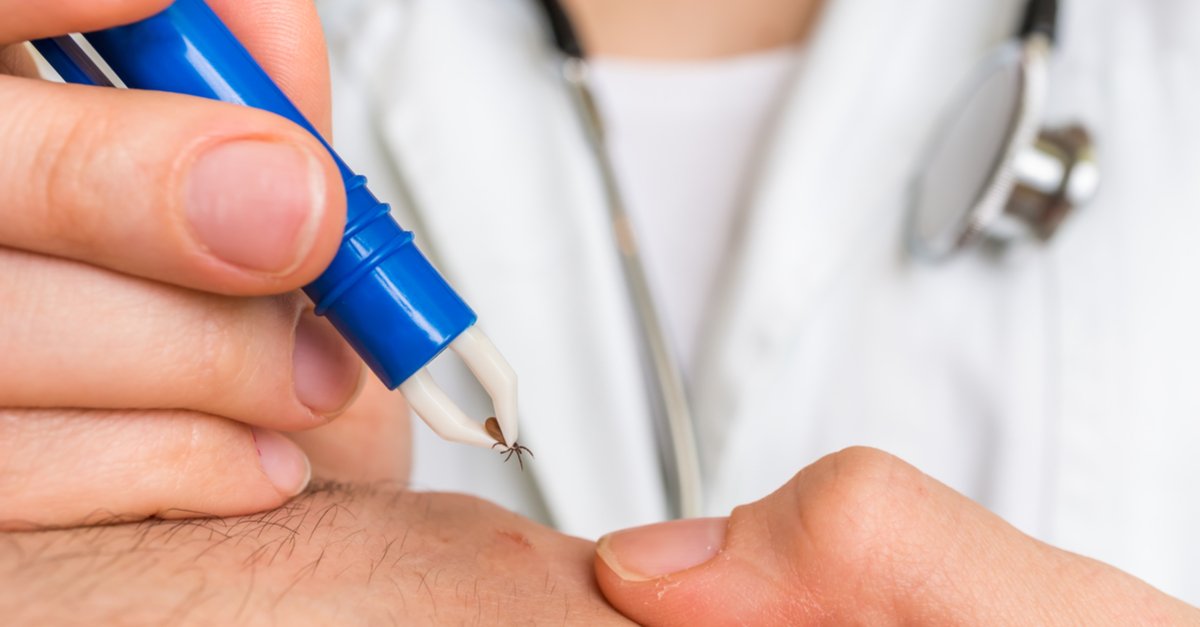 DurhamHealth's tweet photo. If you found a tick, would you know how to safely remove it and what to do with it? Find out here: https://t.co/9YezP2HNdd #LymeDiseaseAwarenessMonth #targetlyme https://t.co/XVGNW79VXA