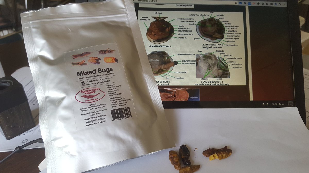 MrsFisher_Sci's tweet photo. Edible bugs to finish up our week on invertebrates. #opsedu #opsbio https://t.co/pEoYgfBV0W