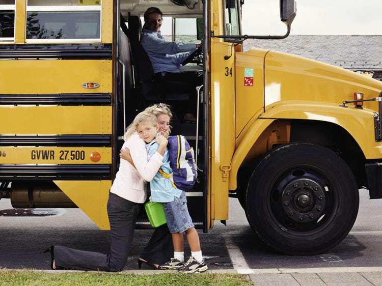 Jessi Steele tweet media