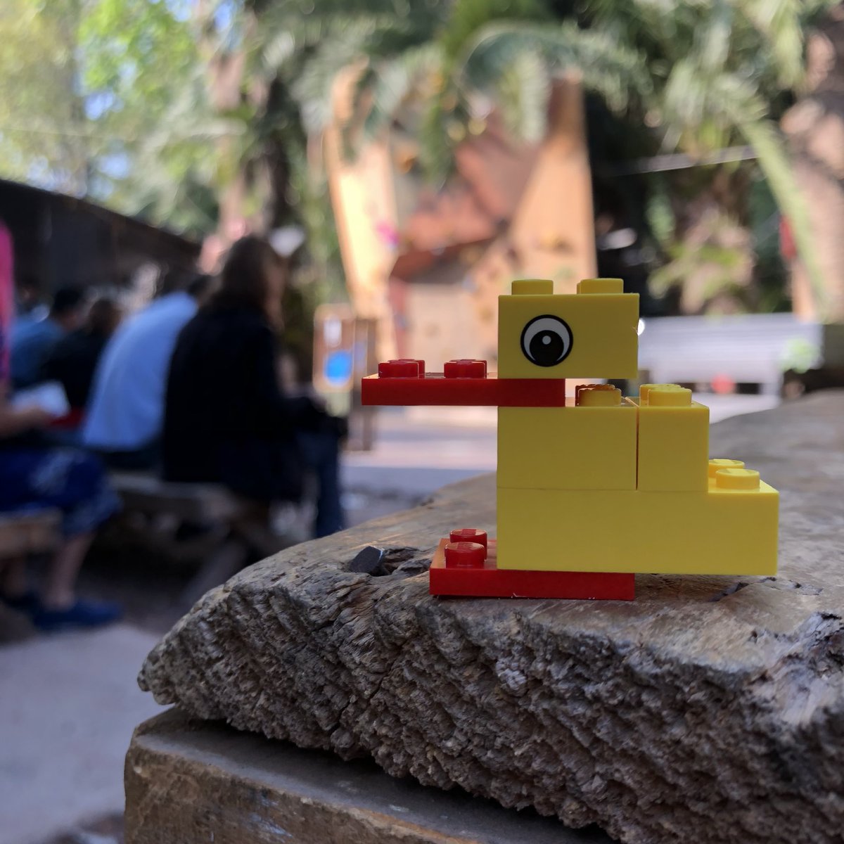 CM_MexicoCity's tweet image. En #CMcommitment, ¡jugamos! Responde a este tuit con la foto de tu pato 🦆💕

#cmmx #CreativeMornings