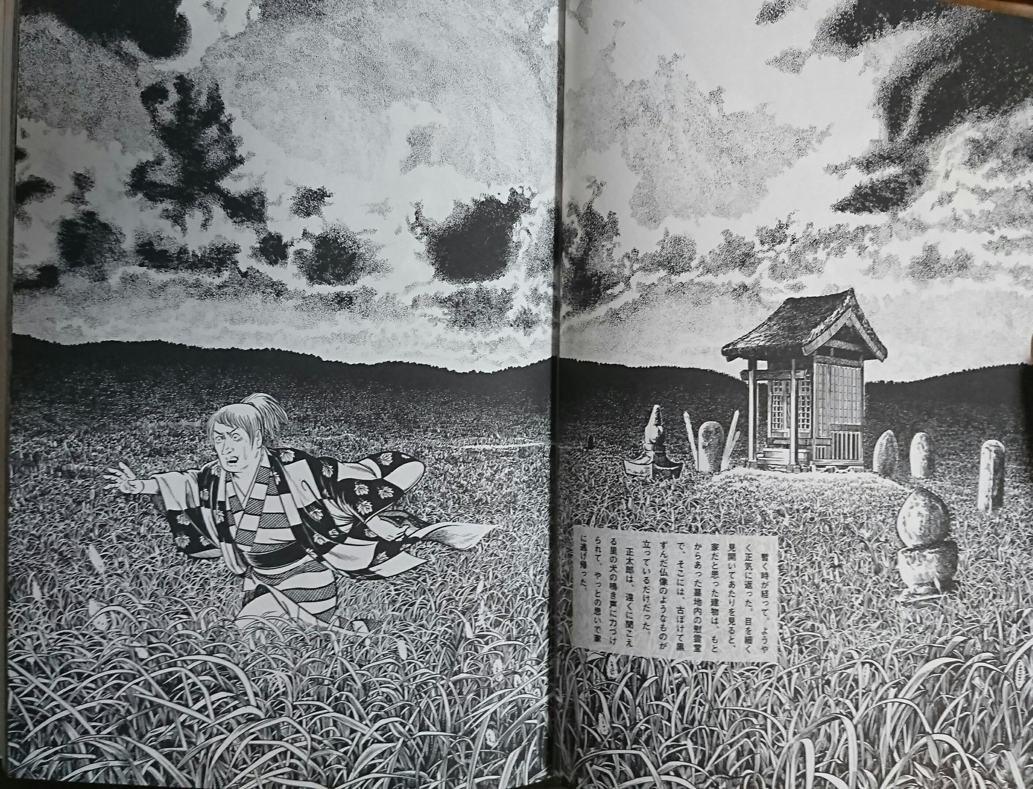 相塚松 いつも水木しげるの絵を見ながら背景を勉強してるんだけど 草むらの描き方がマジでわからない どうやって描いてんのこれ おかしいよこれ T Co Rczezr01ef Twitter