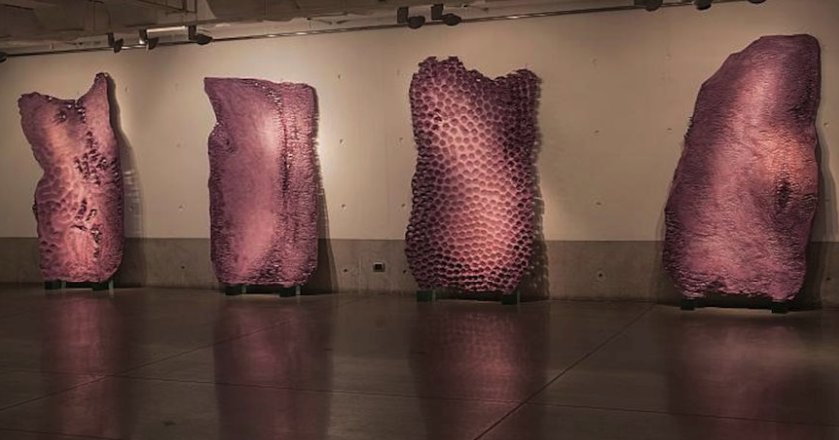 ProChile's tweet photo. Este sábado 26 de mayo, la Asociación de Galerías de Arte Contemporáneo de Chile #AGAC, el #CCMATTA de la Embajada de Chile, junto a #ProChile, realizarán el lanzamiento de la Marca sectorial de artes visuales #SISMICA en Buenos Aires → https://t.co/fxXkDnP0DM vía #24Argentina https://t.co/2mo7UHop81
