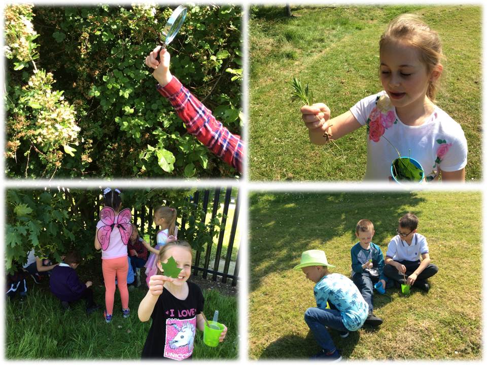 HazelLeysAcad's tweet photo. As part of ‘Outdoor Classroom’ day, Cheetahs consolidated their learning about ‘Growing Plants’-they talked about the different parts of the plant, pollination & seed dispersal. Later, they used the items they had found to create their own ‘Natural Expressions’. @CLOtc #amunique https://t.co/agvS8az68z