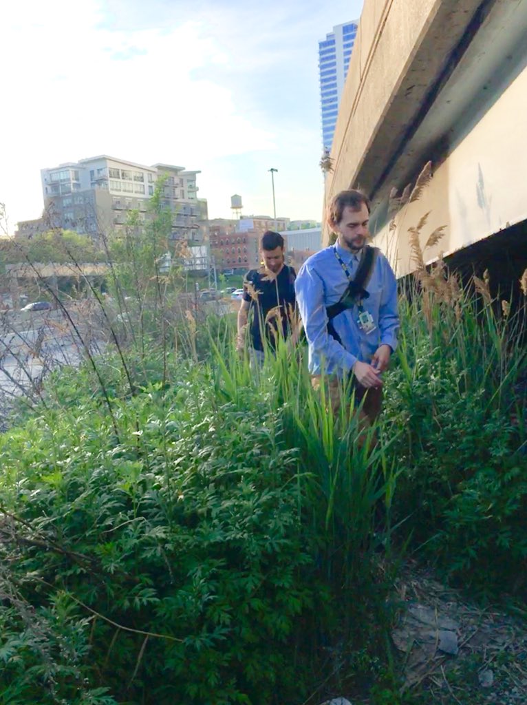 ChicagoStMed's tweet photo. Last night was a beautiful night for a street run! Our team found some new camps, met some new folks, and followed up with some of our established patients. Thanks to our new resident and student volunteers for joining! #Homeless #health #Chicago https://t.co/Ztl6y7wfxL