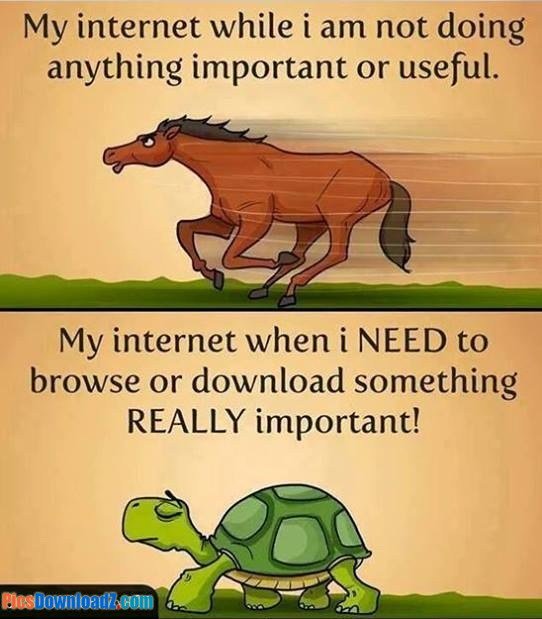 gmsectec's tweet image. #FunnyFriday   #InternetFailure 😳😳