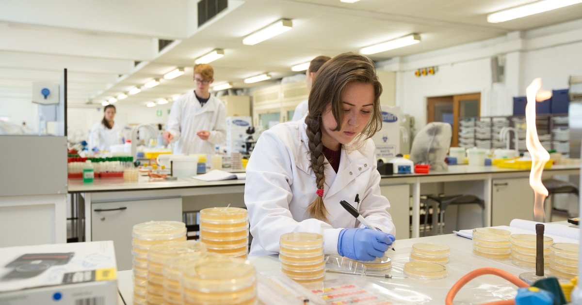LancasterUni's tweet image. We’ve risen 9 places to 8th in the UK for Biological Sciences in the @compuniguide #cug2019 rankings! 🙌👩‍🔬@Lancaster_FHM