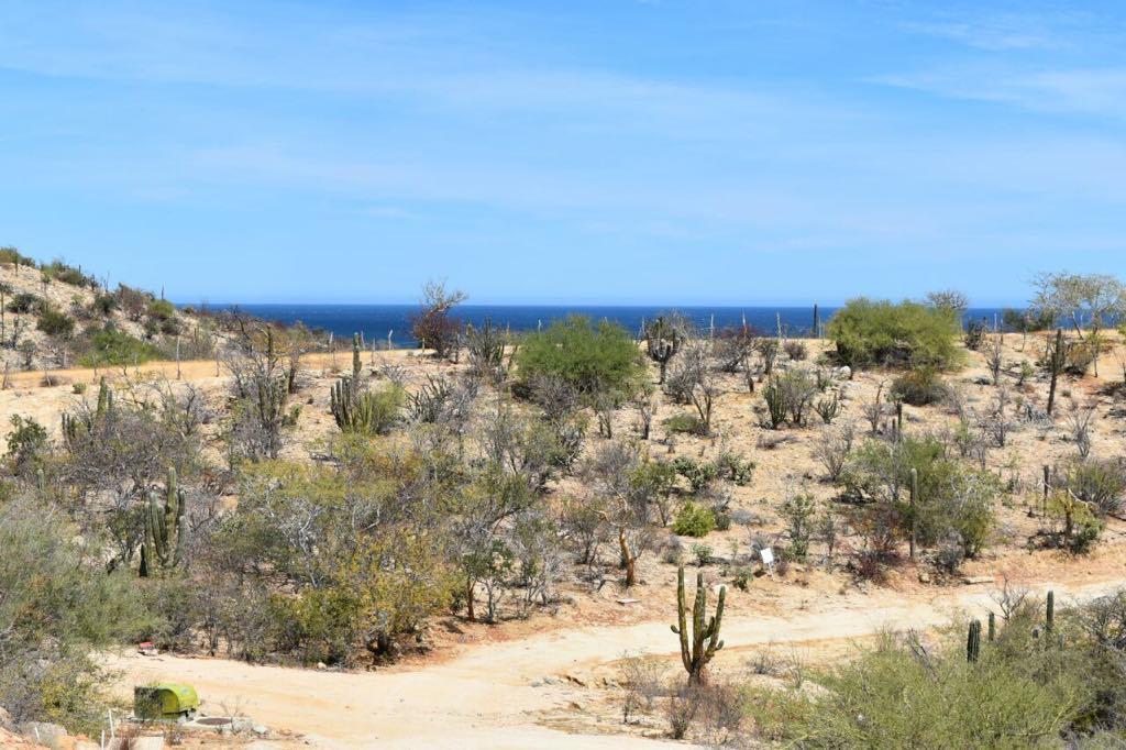 CBRiveras's tweet photo. RICHARDSON LOT 23
East Cape,
MLS# 18-678 | Lot M2: 1450
More info: https://t.co/MDbkSvpxPI 
#cbriveras #realtors #realestate #lotforsale #bajalovers #losbarriles https://t.co/WI9VZZoREL