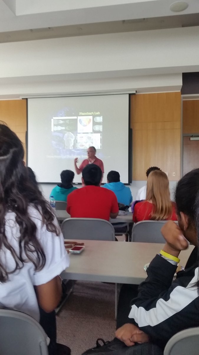 GreenleafPaul's tweet photo. Learning about toxicology,   genetics, and effects on life (zebra fish embryology and development ). https://t.co/RjKJNkCYTo