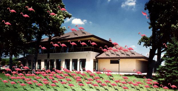 Harris Architects, Inc. tweet media