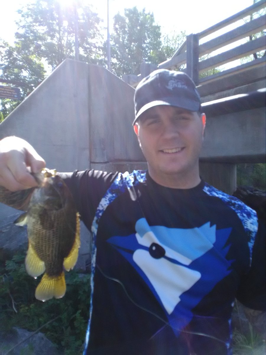 FishNFocus's tweet photo. We caught couple #rockbass 🎣 
Mine was the biggest I ever caught plate size lol with @Bwilbs81 
#FF Everyone have a Awesome weekend 
@Barfa_ganoush
@BamaOutdoors 
@CanuckBassin 
@WolfPackFish 
@HometoOutdoors 
@MissAnnieChtrs 
@Bearman1130 
@Nameless_angler 
@GloProLures 
🎣 https://t.co/3xUcZJ2Trv