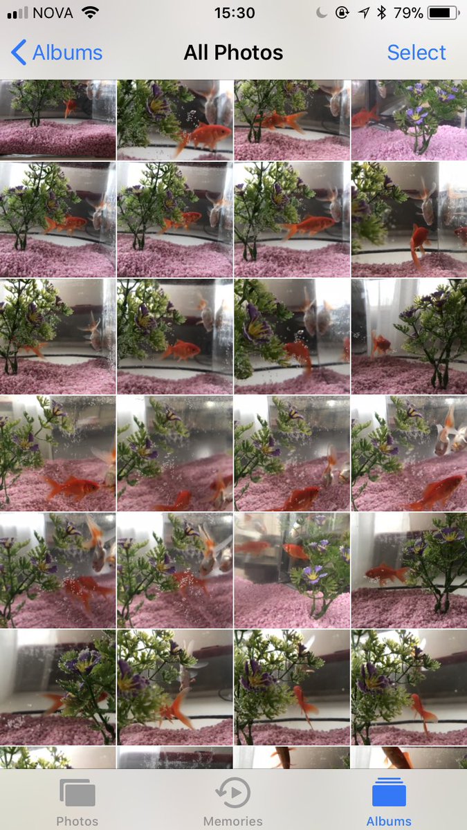 Ættingi: Er ekki bara fínt að búa þarna fyrir norðan? Búin að kynnast nýju fólki og svona?😀

Ég: Jú bara rosa fínt og búin að kynnast fullt af nýjum vinum🙂

Ég í alvöru: