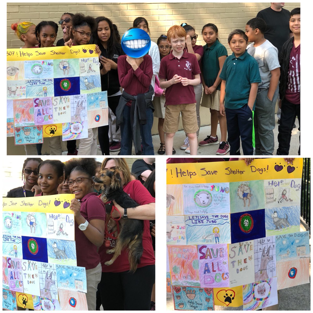 Walkathon with Juno, 4-307 supports shelter dogs #76learns