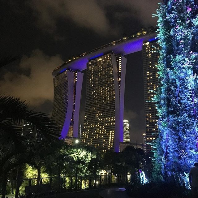 bramwientjes's tweet photo. Verdwaalt in Singapore zijn #gardens #gardensbythebay #singapore #veelteduurhoteldusikmoethetalleenmaarmeteenfotoervandoen https://t.co/eJsgTdkRLG https://t.co/QhGJHcJzjN