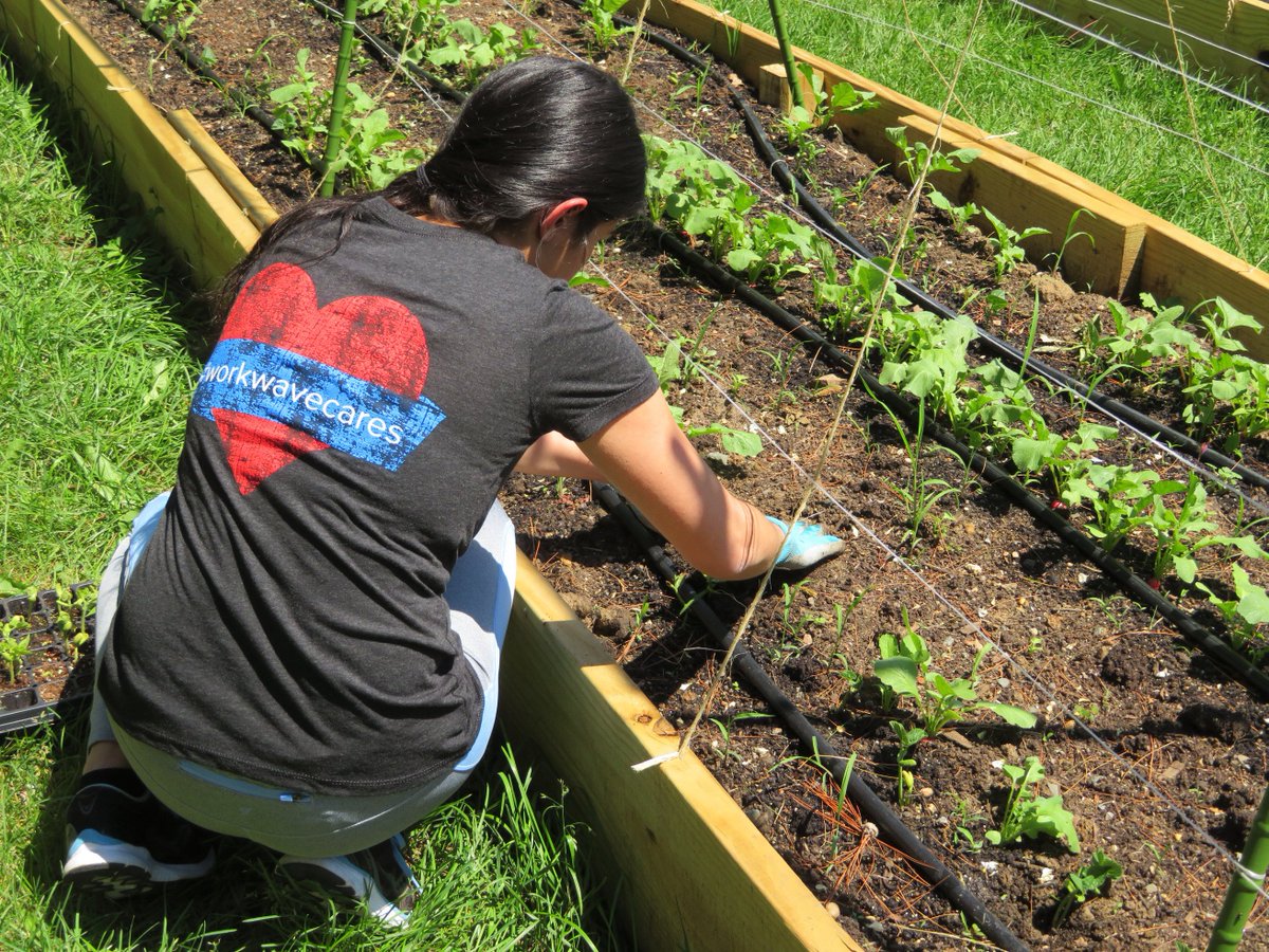 Workwave's tweet photo. We kicked off #MemorialDay weekend by volunteering in the @FulfillNJ garden! The crops grown here will help feed families in our local community. #WorkWaveCares https://t.co/t9OSnF39kc