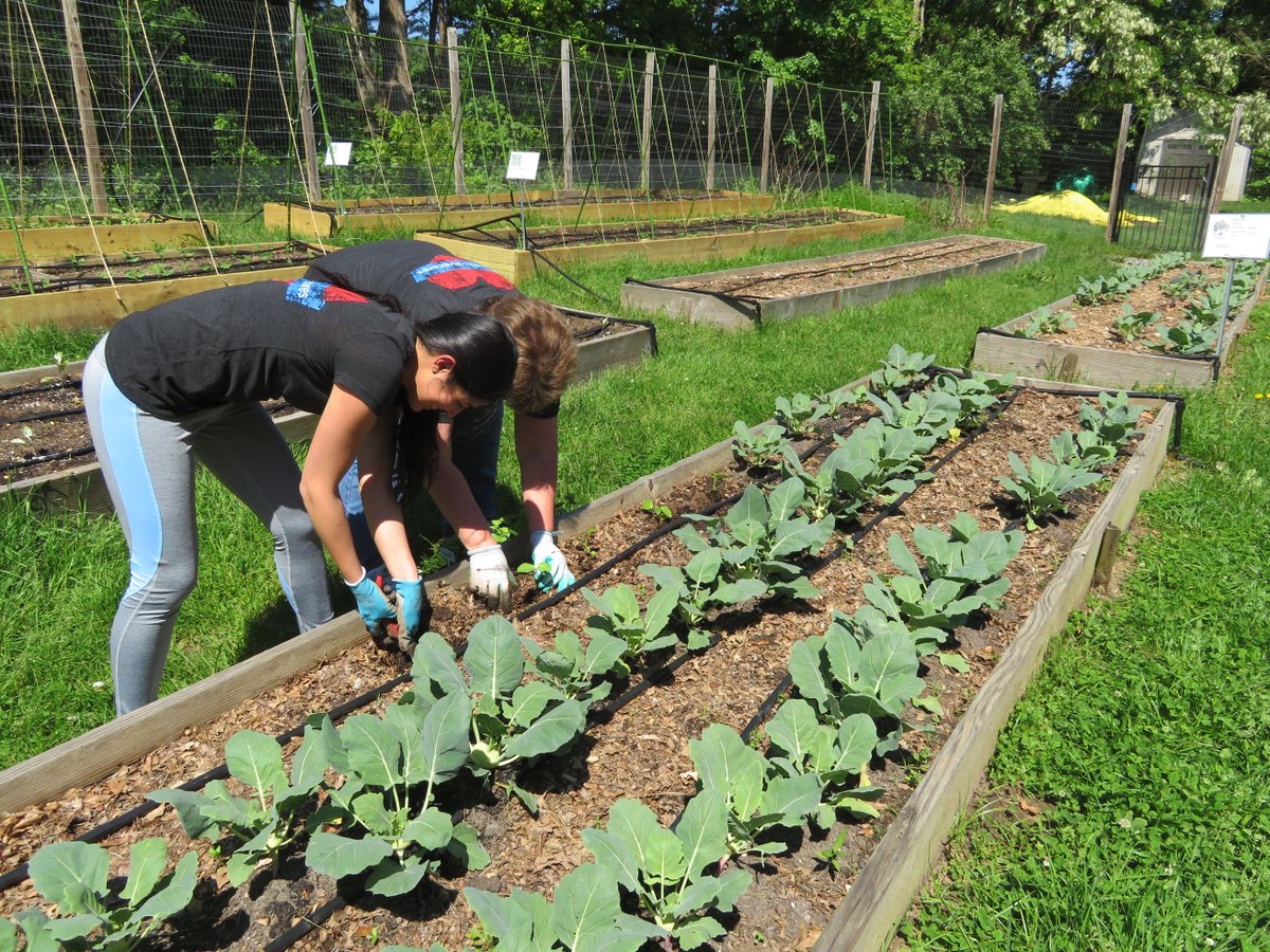 Workwave's tweet photo. We kicked off #MemorialDay weekend by volunteering in the @FulfillNJ garden! The crops grown here will help feed families in our local community. #WorkWaveCares https://t.co/t9OSnF39kc