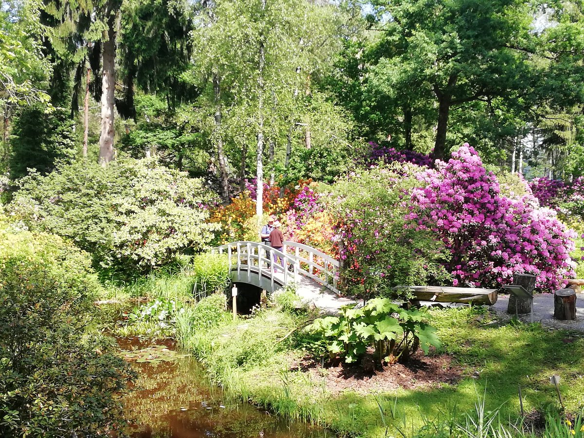 AlbertoPatruno's tweet photo. #Escursione #Professionale ELCA Zurigo 25 maggio 2018: 1Β° "#Wuhrmann #Garten": "Show garden with watercourse" di questa azienda e "Il #giardino #giapponese"
--------------------
2Β° Parco "#Seleger #Moor".
https://t.co/ttTqfkt904 https://t.co/JdCBrtcQdJ