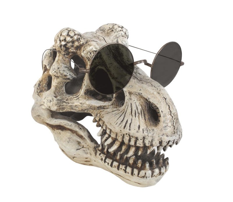 Dinosaurs Around The World tweet media