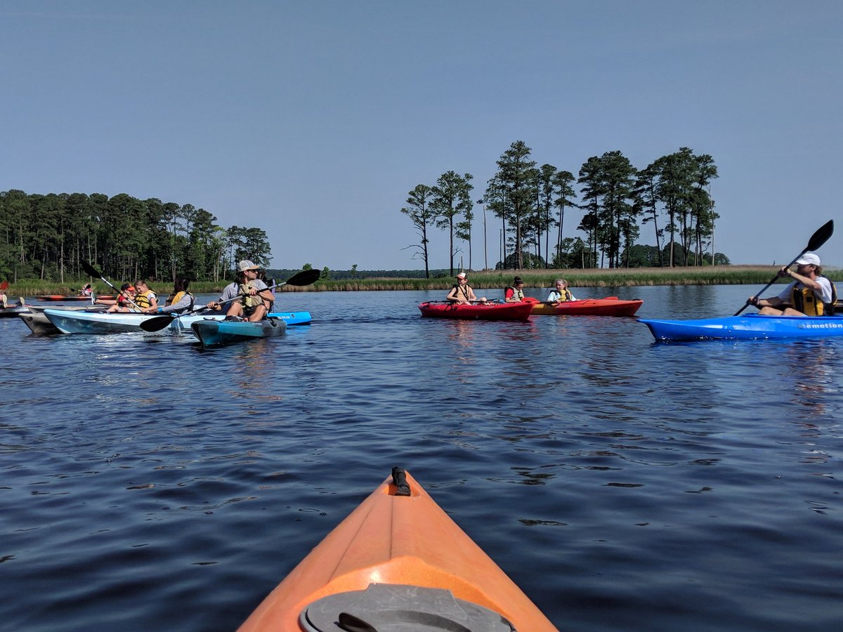 techyteachhaugh's tweet photo. Started our field trip kayaking at Blackwater Adventures. @bluedevilabbott @SPriceVES @DCPSChampions #VESTERPS #grade5 #enjoynature #lovinglife https://t.co/kow4wVuOfw