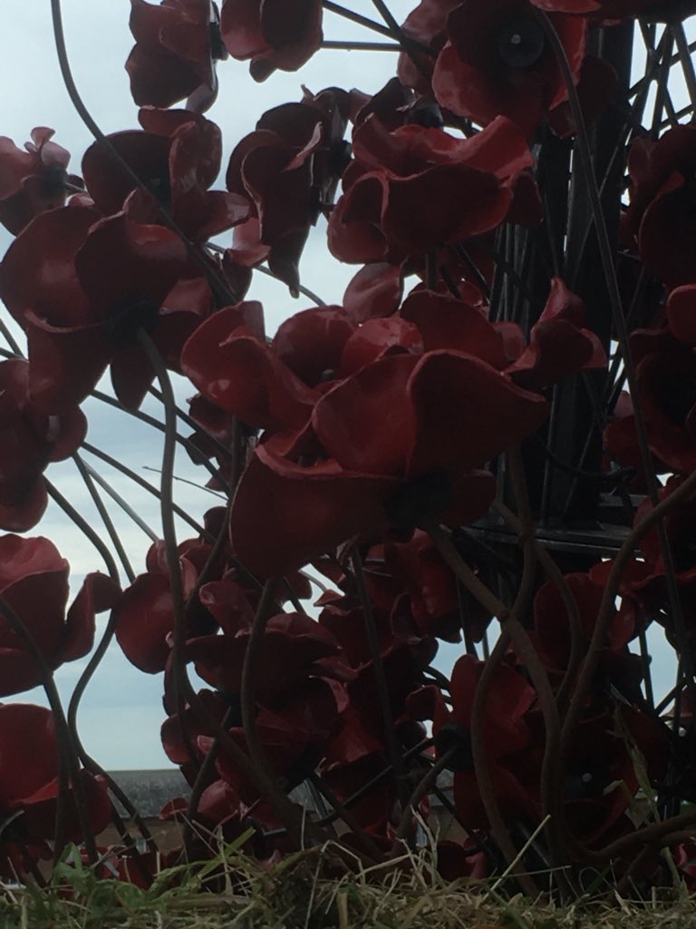 Animal_Comms's tweet photo. Beautiful sculpture in #Carlisle ‘Blood swept lands and seas of Red’ @carlislecastle ##poppiestour poppies Weeping Window #WW1 #WeepingWindows #PaulCummins #Cumbria https://t.co/tZ8ysTlx0y
