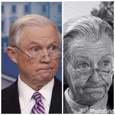 SchorerTimothy's tweet photo. @realDonaldTrump, this explains the problem with the DOJ! https://t.co/yOZdDWK3iY