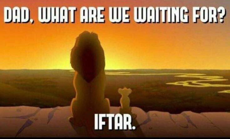 saadabdulhai's tweet photo. Waiting for that sun to set on pride rock like https://t.co/MECg0nYXM5