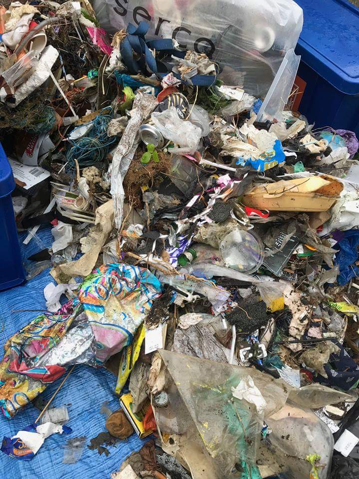 Plastic Free Whitstable tweet media