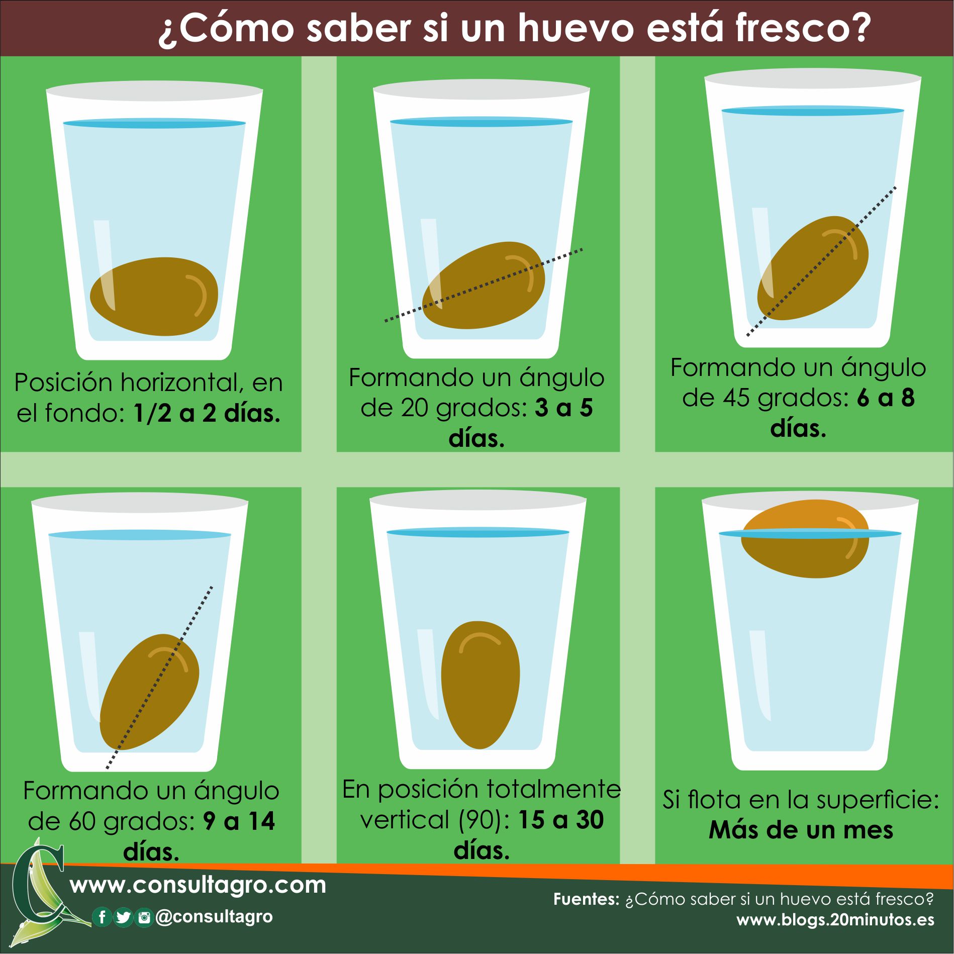 Forberedelse Underholde teori Consultagro Vzla on Twitter: "¿Cómo saber si un huevo está fresco?  https://t.co/RkQ5yctqEg https://t.co/AeEdxbRhkX" / Twitter