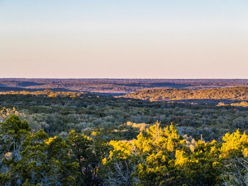 duPerierTLM's tweet photo. #SpotlightProperty of the Week!🌟
Hidden Cave Ranch
➡️ 214 acres
➡️ Located in Hunt, TX
➡️ Private ranch with untapped potential
➡️ Great views, hardwood trees, and a hidden cave
⤵️
Click here for more info:
https://t.co/DA2z58eSpt
#RanchForSale https://t.co/w6VwLgG9Fl