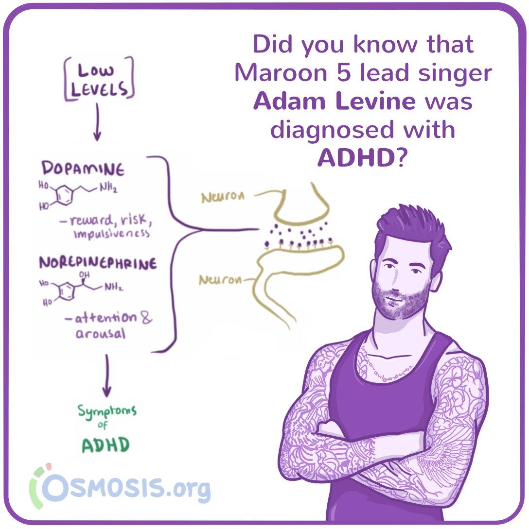 Osmosis On Twitter Did You Know Maroon 5 Front Man Adam Levine Was Diagnosed With Adhd To Learn More About Adhd Watch Our Video Https T Co Ffuslzwhwa Foamed Learnmedicine Osmosis Boardreview Medicine Pathology Https T Co Soskzpphnb