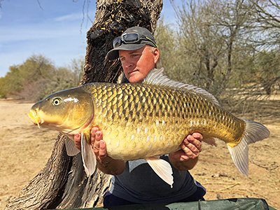 MPSRep's tweet image. 