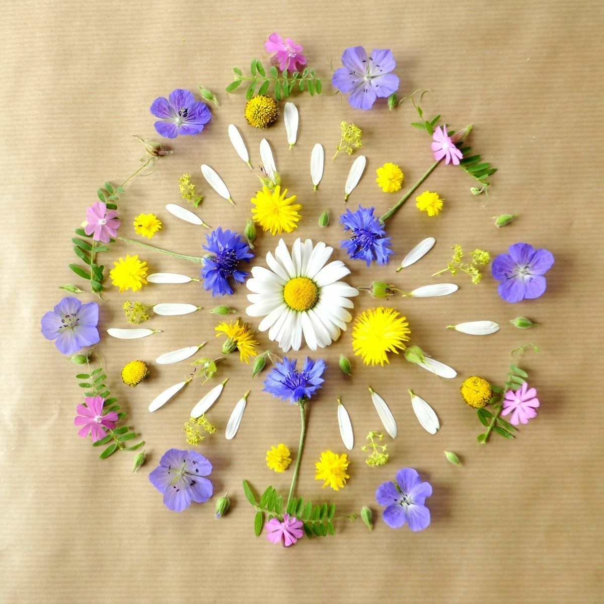 CelticFaerySeer's tweet photo. π·πΌπ·πΌπ· @celticfaeryseer πΈ π· https://t.co/ZwyiKFgAij #naturemandala #mandala #naturegrid #celticfaeryseer #faeryseer #seer #flowermandala #flowergrid #flowers https://t.co/dUWI0OQVOK