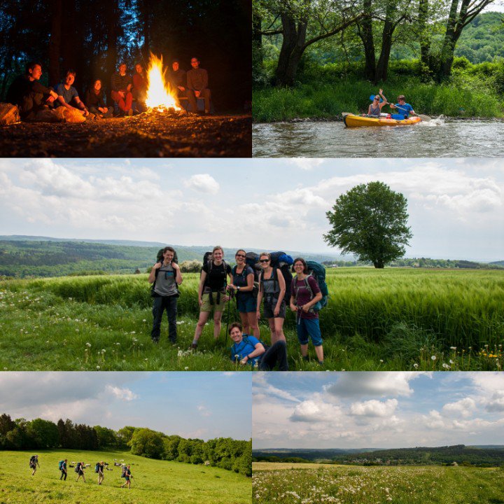 Spring Reizen tweet media