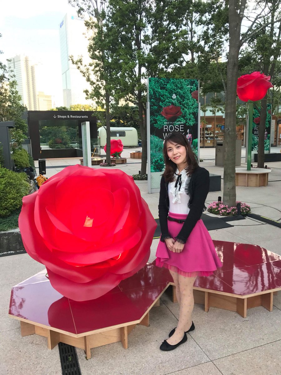 shironekoAYAKO's tweet photo. 友達と紀尾井町に薔薇🌹を観に行きました。#紀尾井町レジデンス #roseweek2018 https://t.co/rCwI6UTTqe
