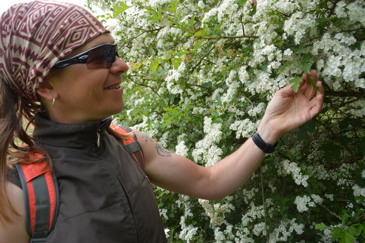 GrowHistory's tweet photo. Take a look at our pictures from our @GrowHistory foraging walk, led by Rob Tilling from @LetsGrowToBham. We had a great time and learnt a lot about edible plants in nature! @ashianacp @heritagelottery #forager #nature #plants #HealthyFood #outdoors #exercise #environment https://t.co/UATPtpGHiR
