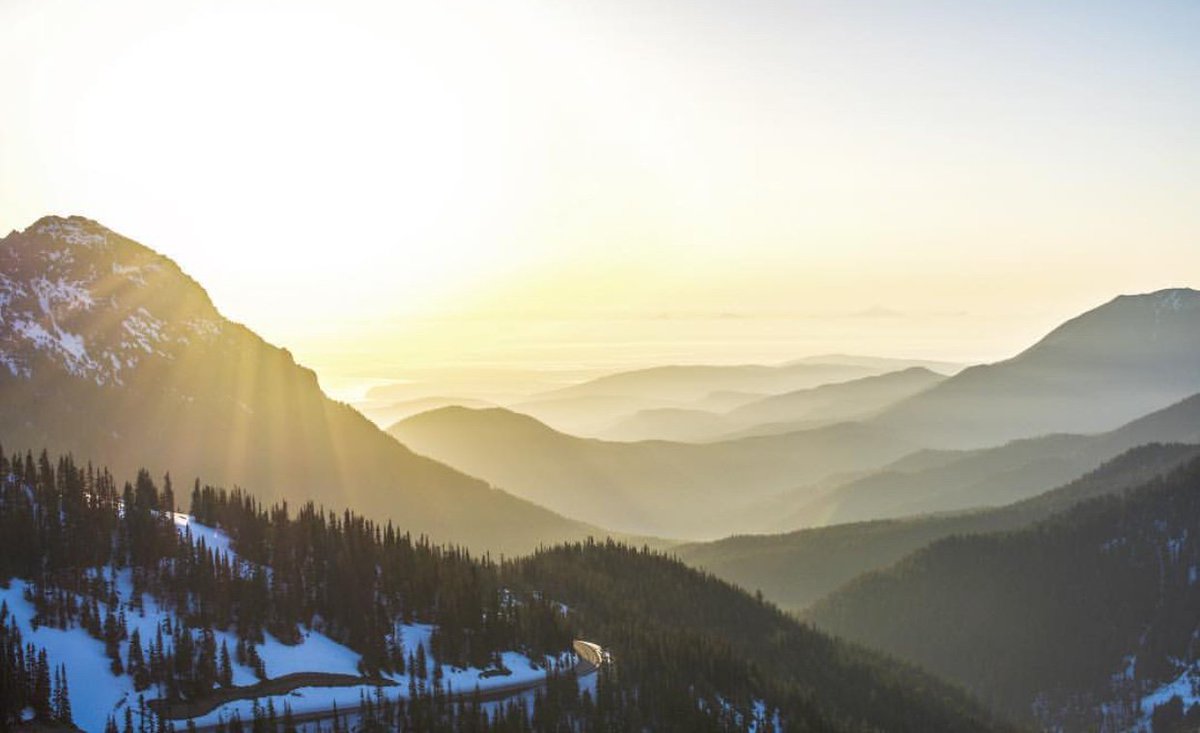 oly_adventures's tweet photo. Good morning world! Your really can't beat seeing the #sunrise from the top of a #mountain. #PNW #olyadventures #hiking #sightseeing #olympicnationalpark #thegreatoutdoors @pnw_jamie https://t.co/qAKcR0TlkY