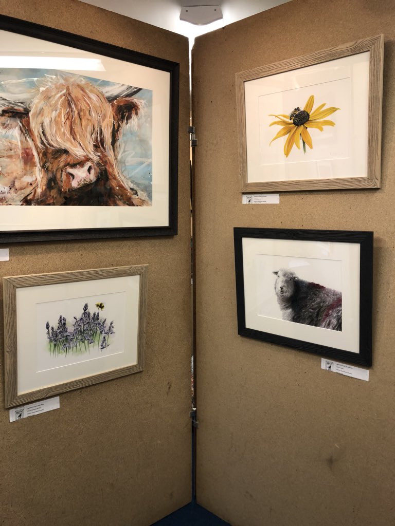 Fantastic transformation of our primary school in #eskdale #cumbria for #art show weekend. Lots of fantastic art &amp; #crafts for sale &amp; beautiful cream teas. Please come &amp; visit us and please retweet to spread the word - this weekend Sat, Sun &amp; Mon.