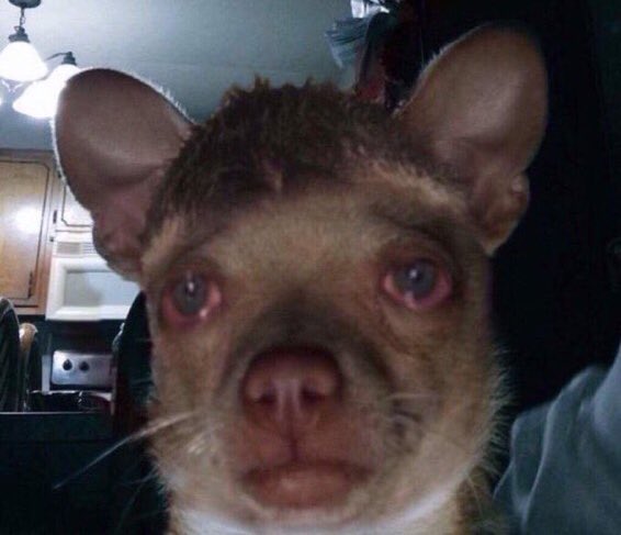 -“Me imagino que no te pusiste triste por eso..”
-Nono, ni ahí 

Yo: