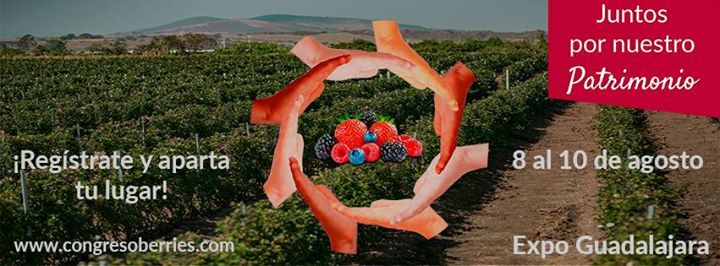 Congresoberries's tweet photo. https://t.co/dQv8F6cLWC #Aneberries https://t.co/OpQaUkl81r