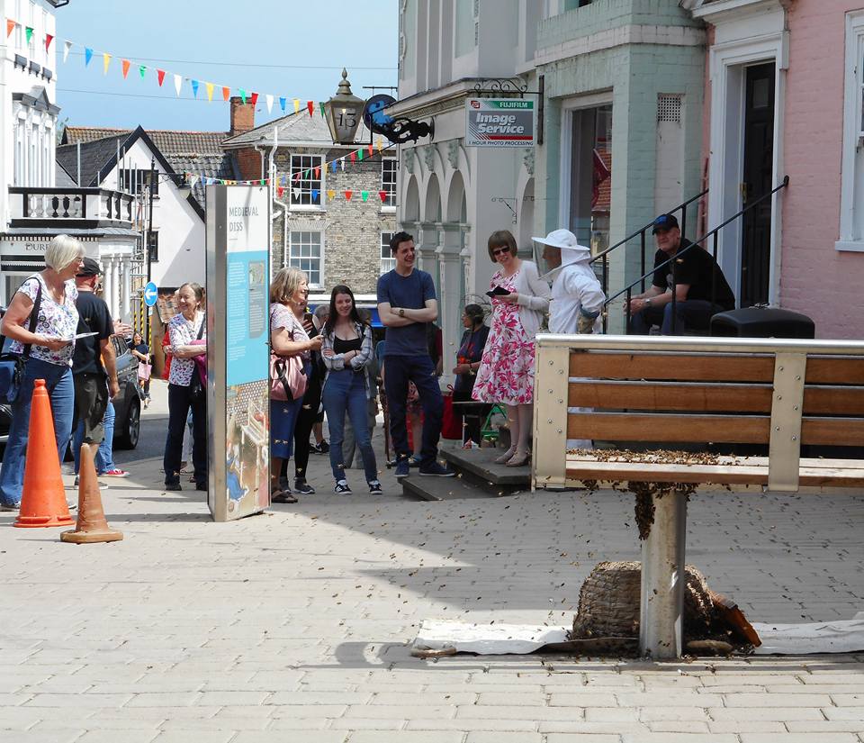 SheilaMossKing's tweet image. We've been doing well with honey bees today @DissHT - they seem to prefer our @HLFEoE funded benches to our new wildlife garden!