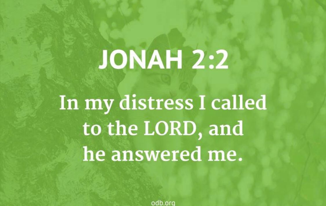 Christianstr0ng's tweet photo. We are thankful today. #injesusname https://t.co/3omV8QFjxq
